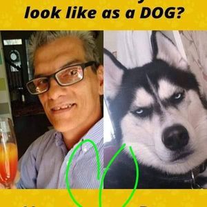 Meet your Posher, Roy